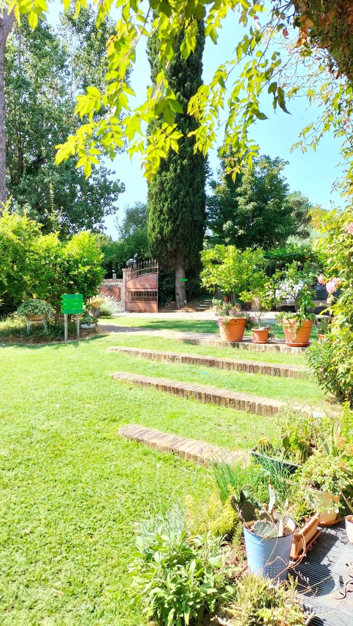 Ca' Dei Gelsi B & B Κοριάνο Εξωτερικό φωτογραφία
